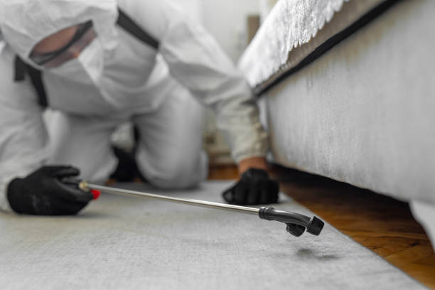 Professional Bed Bug Control technician working in Amargosa Valley, NV